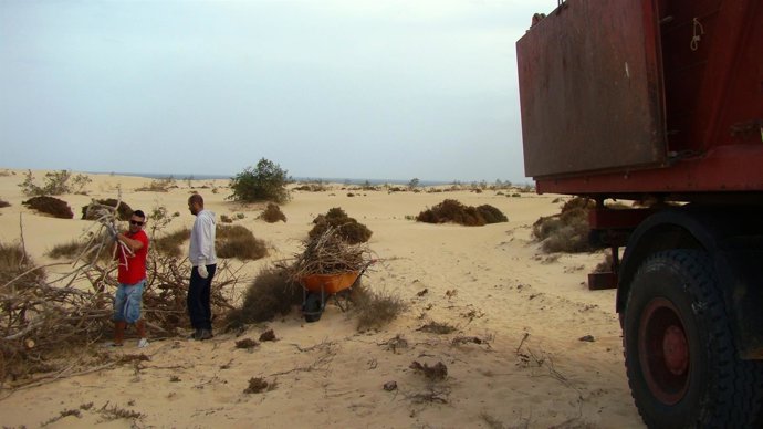 Operarios trabajan en las zonas que sirvieron de escensario para 'Exodus'