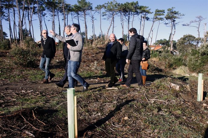 Consejero de Medio Ambiente