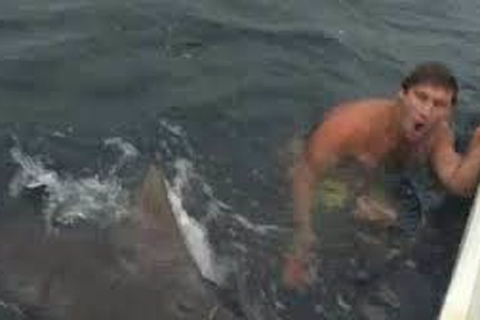 Un joven australiano se salva del ataque de un tiburón 