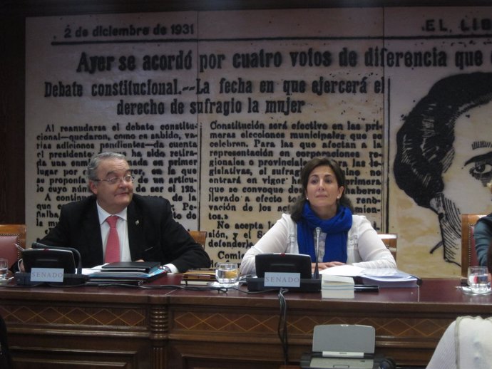 Isabel Borrego en la Comisión de Presupuestos del Senado