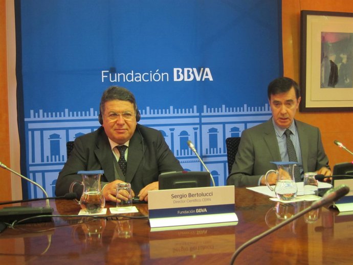 Director científico CERN