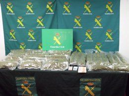 Guardia Civil interviene 16 kilos de marihuana.