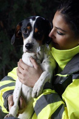 Olga Sarmiento, ayudante tecnico del centro, junto a uno de los perros.