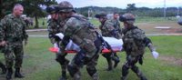Colombia.- Mueren dos presuntos guerrilleros de las FARC en Ituango