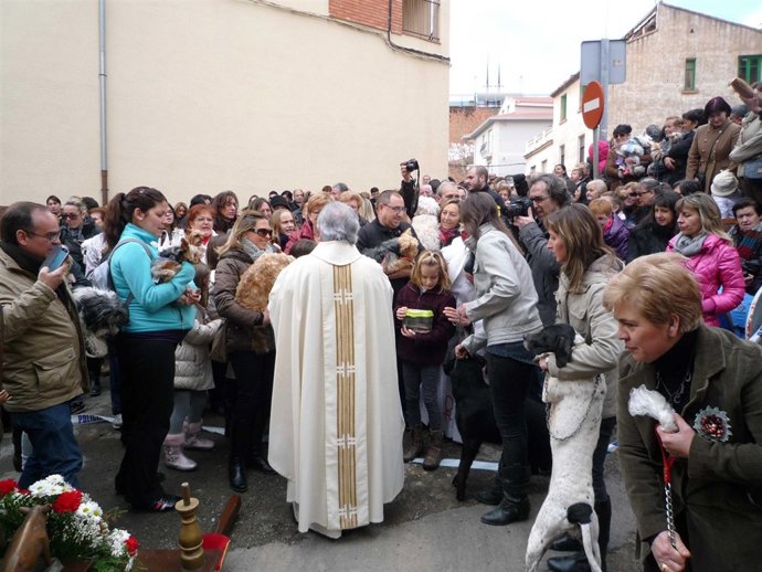El párroco de San Julián (Teruel) bendice a los animales por San Antón. 