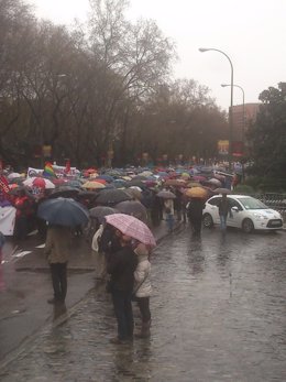 Manifestantes de la 'Marea Blanca' suben por el Paseo del Prado