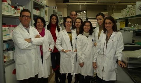 Investigación