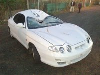 Un conductor sale ileso tras atropellar en Carmona a un caballo que falleció debido a la colisión