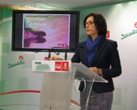 PSOE exige a De la Torre que "reflexione, paralice y dé marcha atrás" en el nuevo sistema de tarifas de Emasa