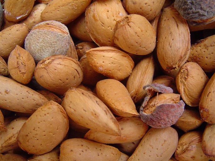 Almendras, frutos secos, frutos de cáscara