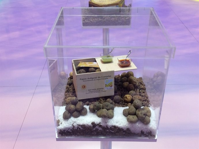 Productos canarios en Fitur