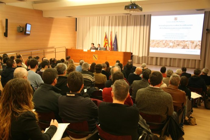 Jornada de trabajo sobre la biomasa