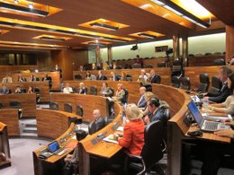 Pleno de la Junta General 22 noviembre 2013