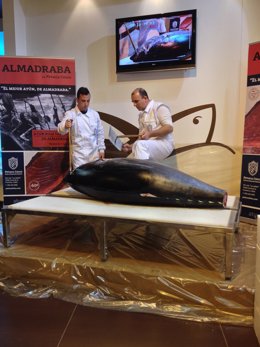 Inicio del ronqueo del atún rojo salvaje por la empresa Petaca Chico