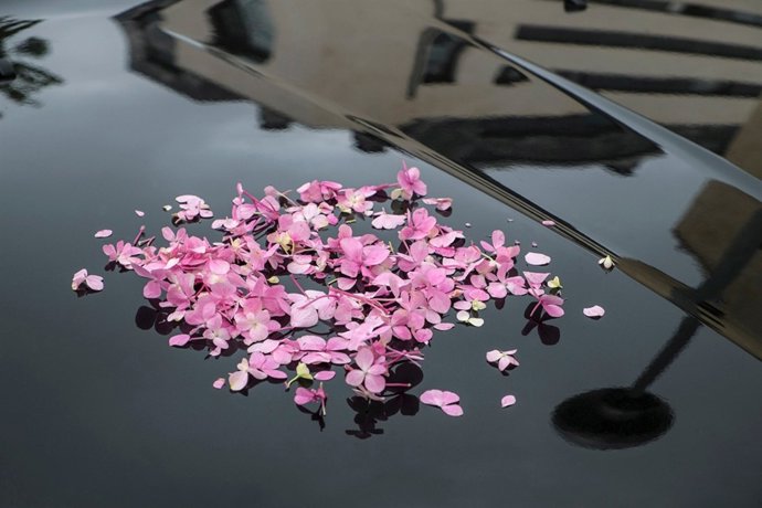 Una de las imagenes de Juan García Negrete