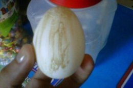 La aparente figura de una virgen en una cáscara de huevo.