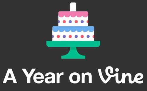 A year of vine