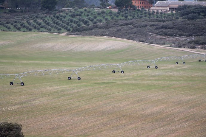 REGADÍO, CULTUVO, REGAR, AGRICULTURA, AGRICULTOR, CAMPO