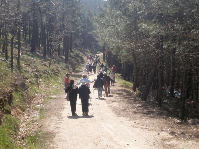 Caminado en una ruta de senderismo
