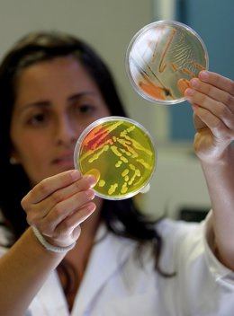 Laboratorio, en imagen de archivo.