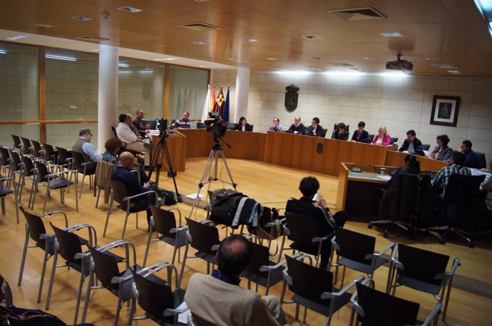 Pleno Ayuntamiento de Totana                   