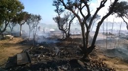 Zona afectada por un incendio en un asentamiento de inmigrantes en Lepe. 