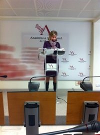 PSOE aboga por escuchar primero a los expertos para saber si la Región debería de fijarse en el sistema electoral alemán