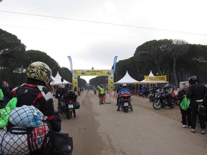 Concentración invernal Pingüinos