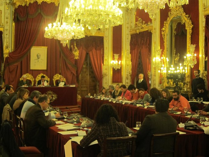 Momento del Pleno celebrado este miércoles en Diputación