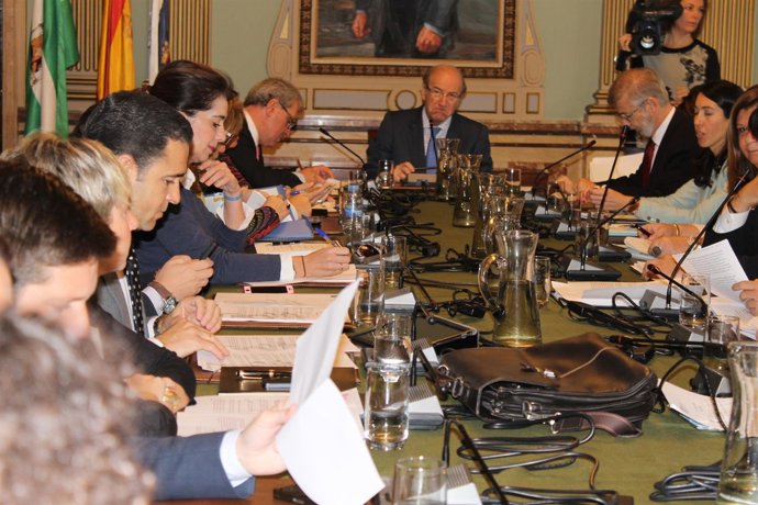Pleno correspondiente al mes de enero del Ayuntamiento de Huelva. 