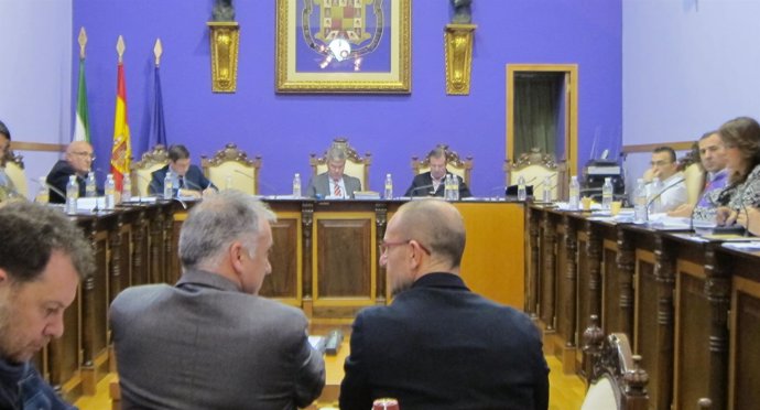 Pleno del Ayuntamiento de Jaén del mes de enero de 2014