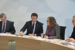 El presidente de la Xunta, Alberto Núñez Feijóo,en el Consello del 30 de enero