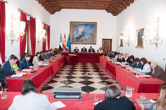 Pleno Diputación de Cáceres