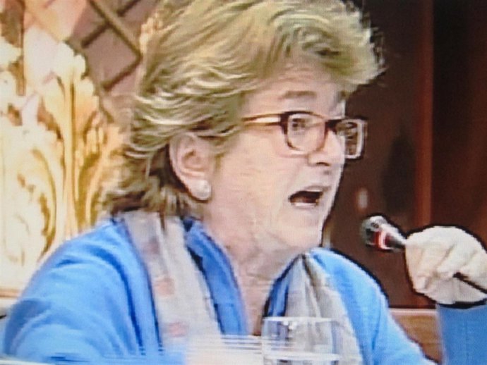 María José Usandizaga, concejal del PP.