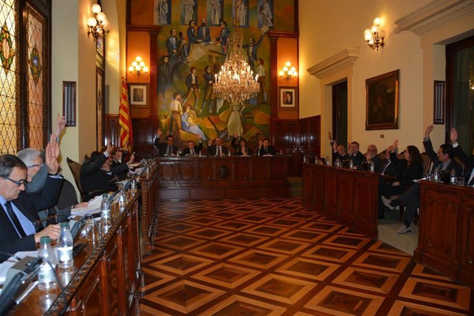 El pleno de la Diputación de Lleida avala la consulta.
