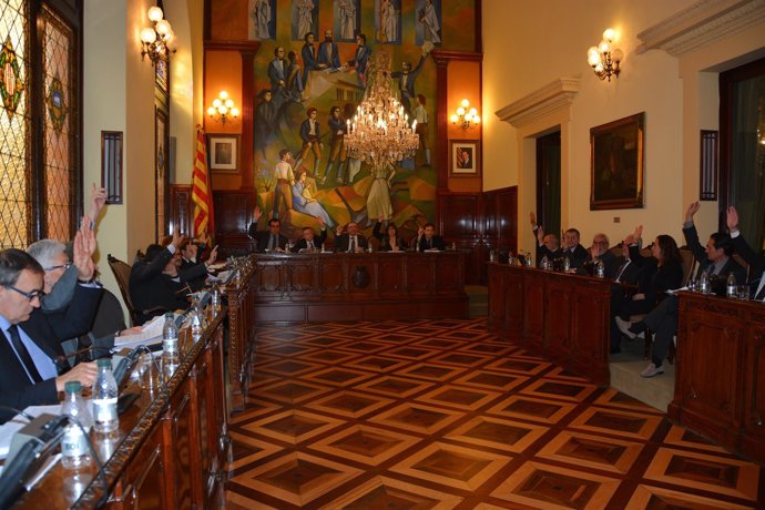 El pleno de la Diputación de Lleida avala la consulta.