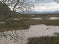 El PSOE denuncia que las obras hidráulicas prometidas por Cañete no están consignadas en los PGE