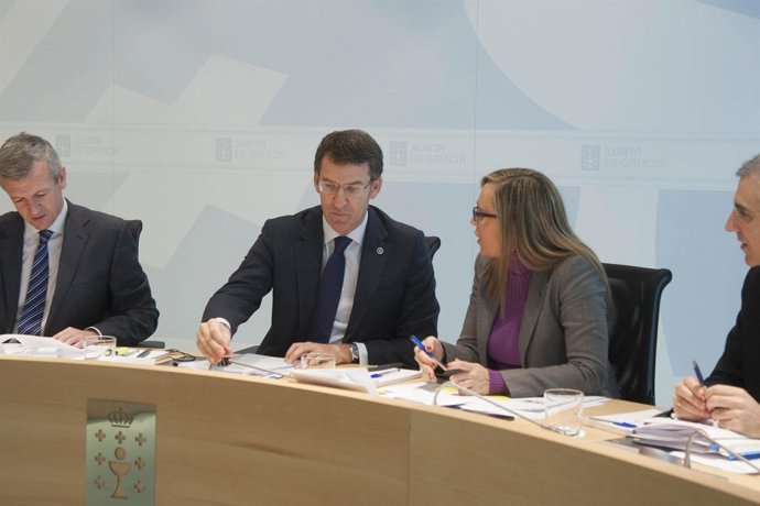 El presidente de la Xunta, Alberto Núñez Feijóo,en el Consello del 30 de enero