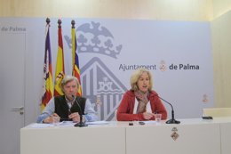 Censo Poblacional Palma