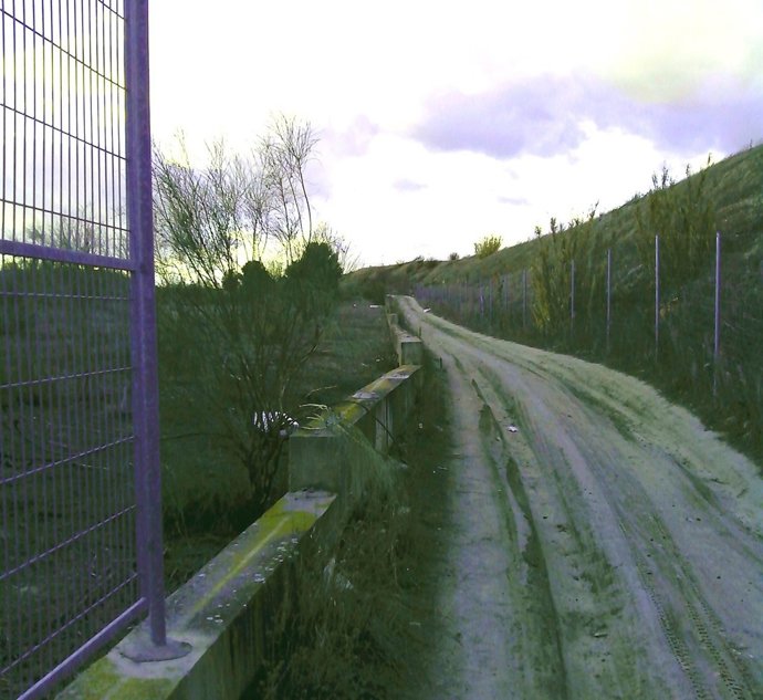 Laguna de Perales del Río en Getafe