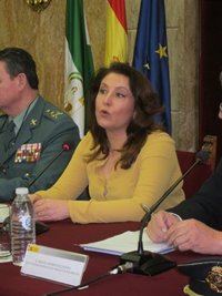 Crespo cree que la "primera prioridad" de Susana Díaz "debería ser gestionar en Andalucía"