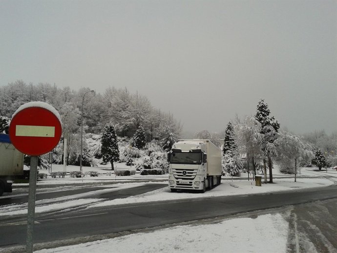 NIEVE