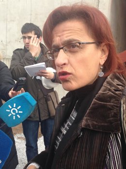 La delegada de Educación, Cultura y Deporte, Ana Gámez