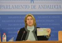PP-A urge a Díaz a aclarar cuál es el "modelo especial de financiación" que quiere para Cataluña "dañando a Andalucía"