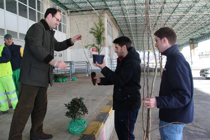 Reparto de árboles en el MNG