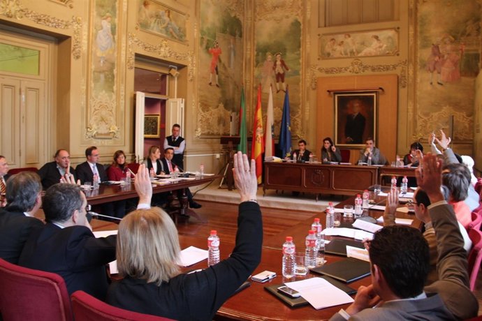 Pleno del Ayuntamiento de Torrelavega