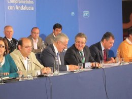 Juan Ignacio Zoido y Arenas ante la Junta Regional del PP-A