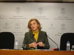 Victoria Delgado, diputada del PP en la JGPA