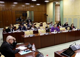 Imagen de la Comisión de Administración Local, reunida este  miércoles