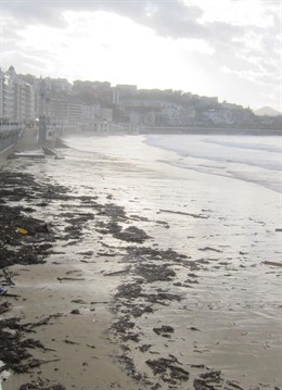 Efectos del temporal en San Sebastián.